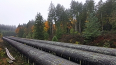 Chiefs, governments to sign rights understanding after B.C. pipeline protests